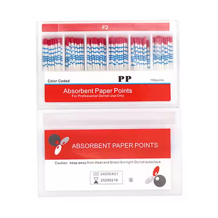 Paper point