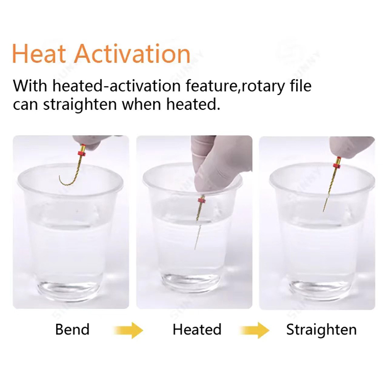 PT-Gold Heat Activated Gold Rotary Files - Image 5