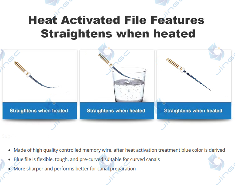 PT-Blue Files Heat Activation Rotary Files - Image 4